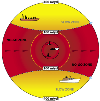 Marine Mammal Monitoring No Go Guidelines Veins of Life Watershed Society 