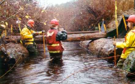 Hydro site during flood stage